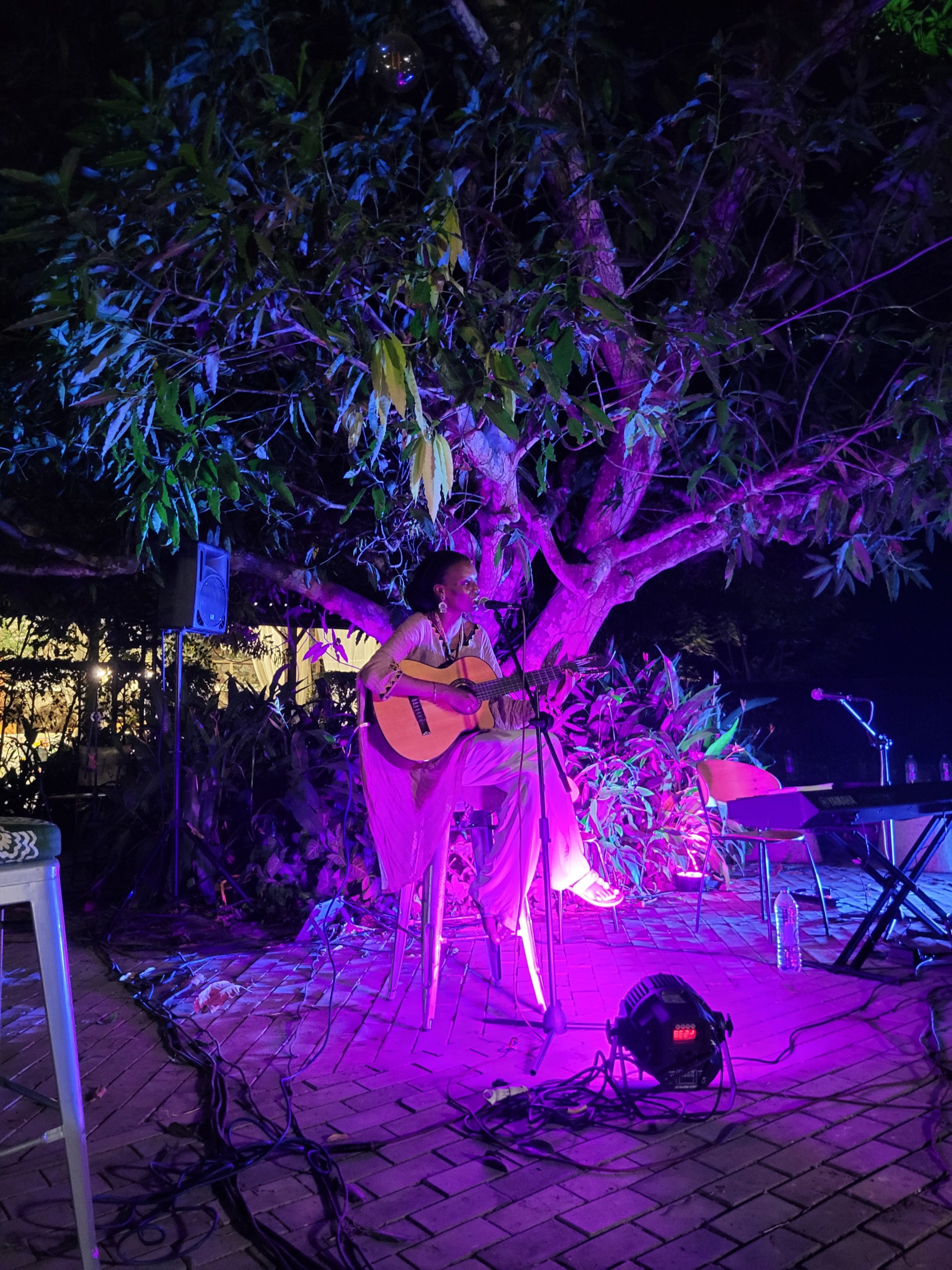 Soirée poétique - Suza's Manifest